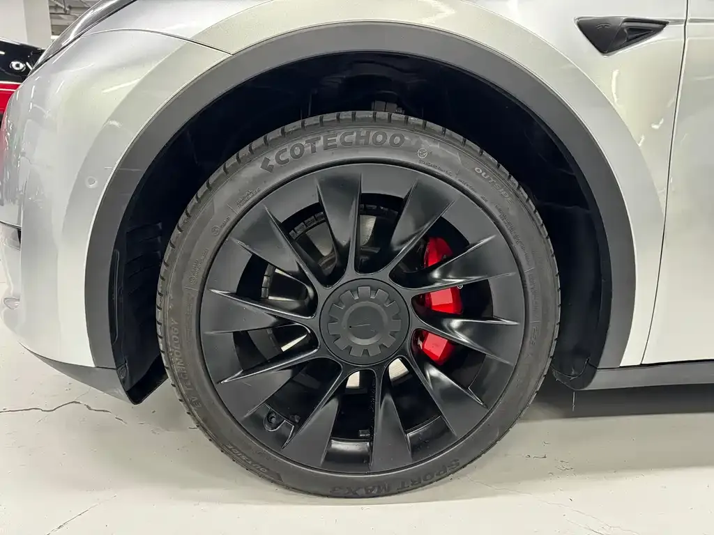 Tesla Model Y 2021 из CN, фото 4