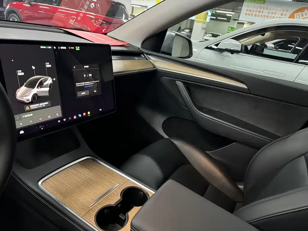 Tesla Model Y 2021 из CN, фото 8