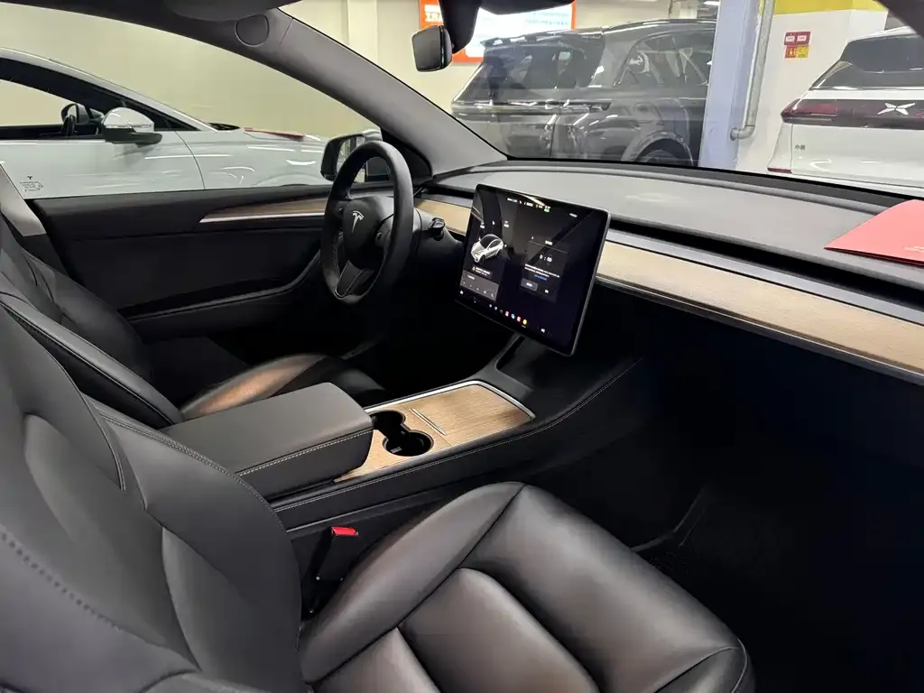 Tesla Model Y 2021 из CN, фото 9