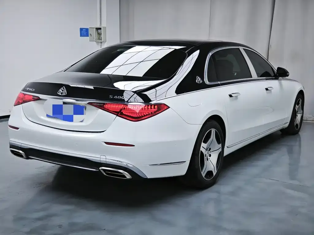 Mercedes-Benz S-Class 2022 из CN, фото 6