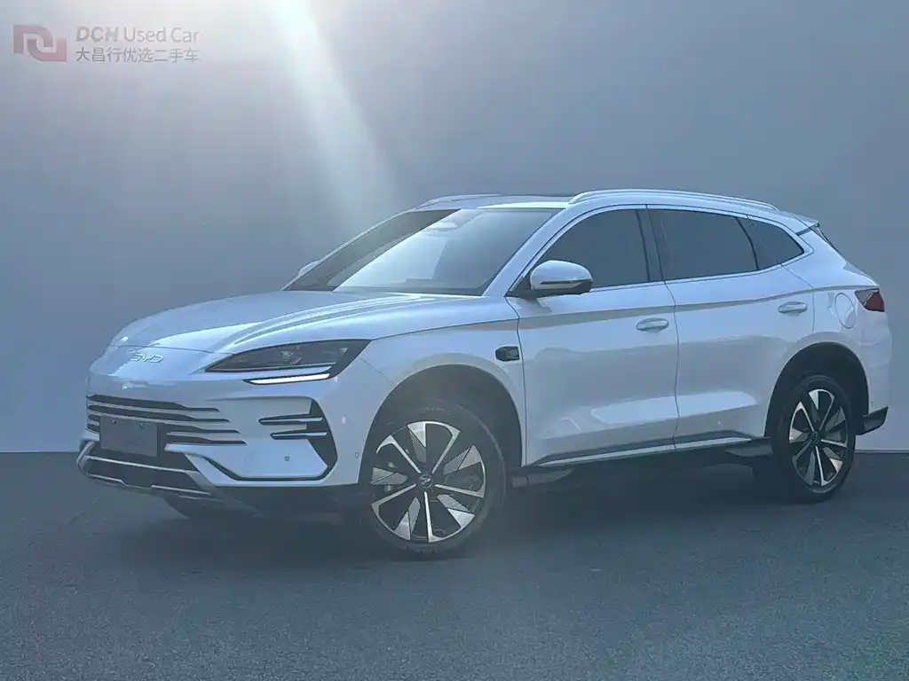 BYD PLUS New Energy 2025 из CN, фото 1