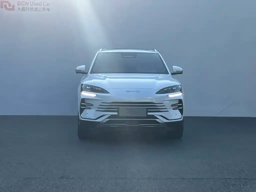 BYD PLUS New Energy 2025 из CN, фото 2