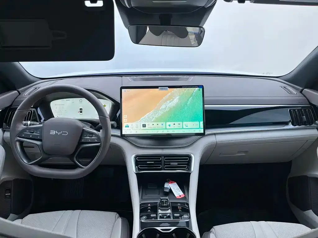 BYD PLUS New Energy 2025 из CN, фото 6
