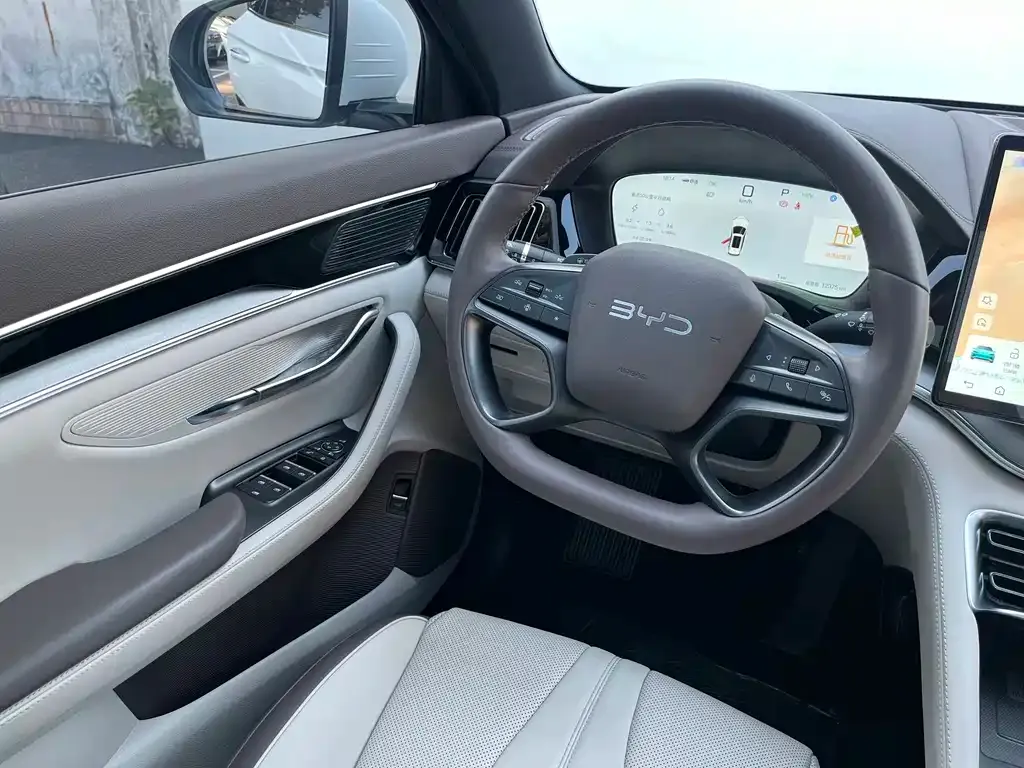 BYD PLUS New Energy 2025 из CN, фото 7