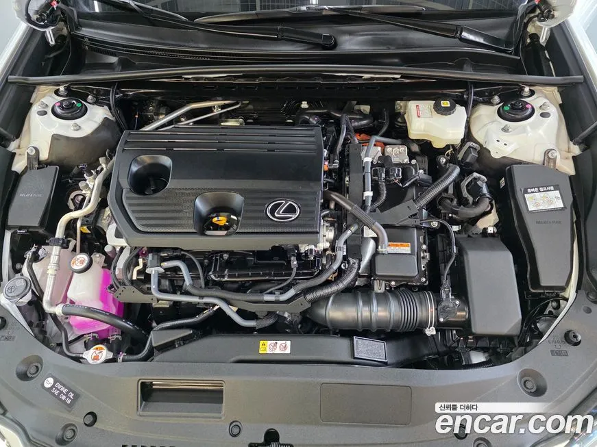 Lexus ES 2025 из KR, фото 6