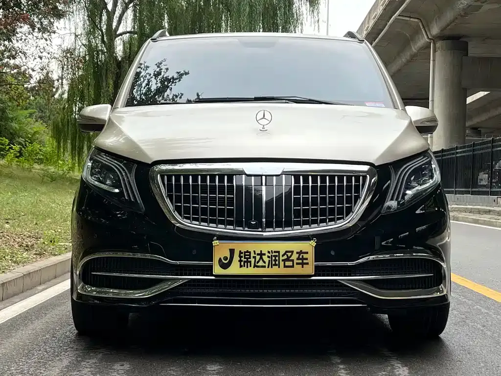 Mercedes-Benz Vito 2022 из CN, фото 2