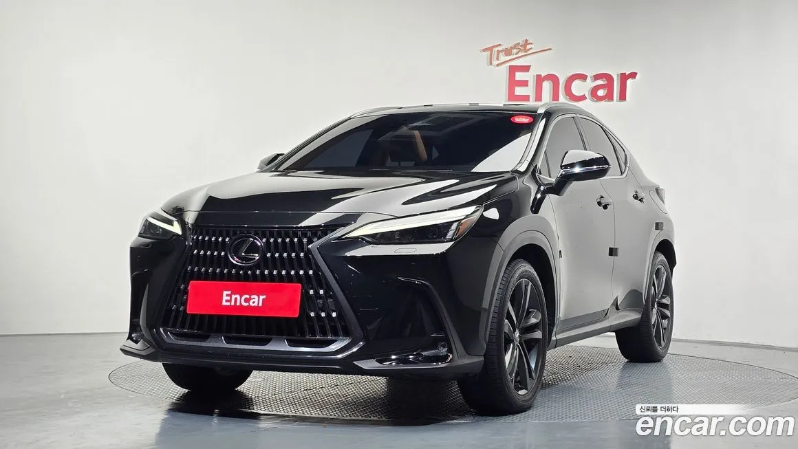 Lexus NX 2024 из KR, фото 1