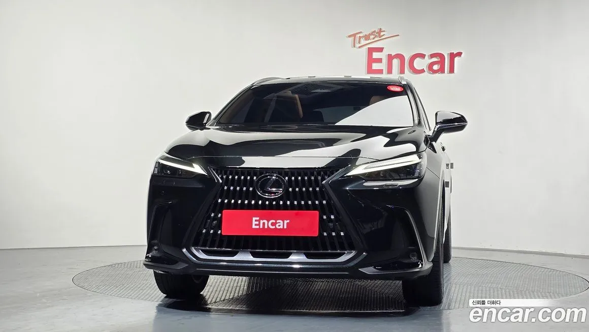 Lexus NX 2024 из KR, фото 3