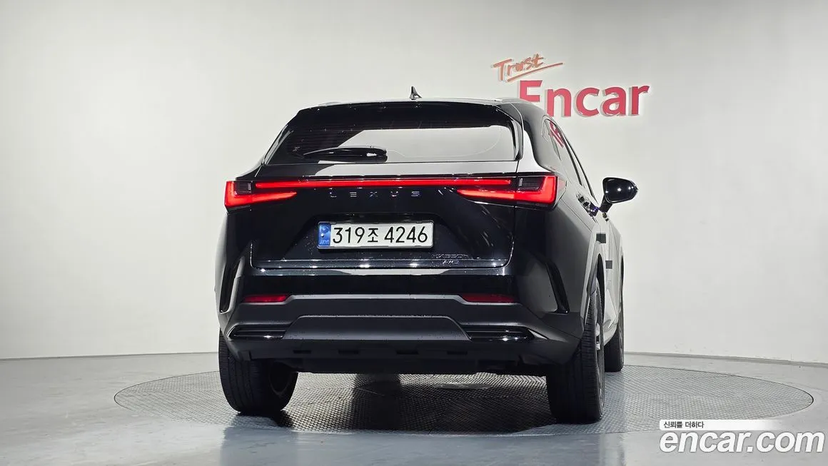 Lexus NX 2024 из KR, фото 4