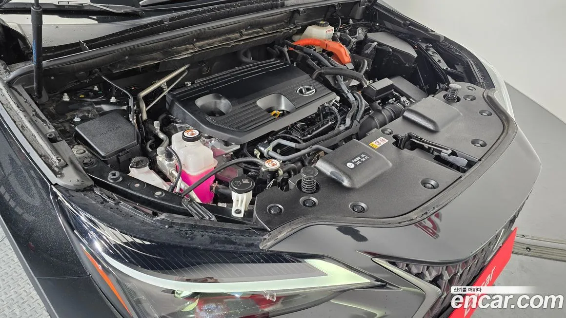 Lexus NX 2024 из KR, фото 6