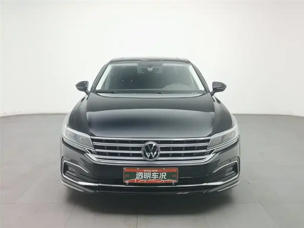 Volkswagen Phideon 2021 из CN, фото 3