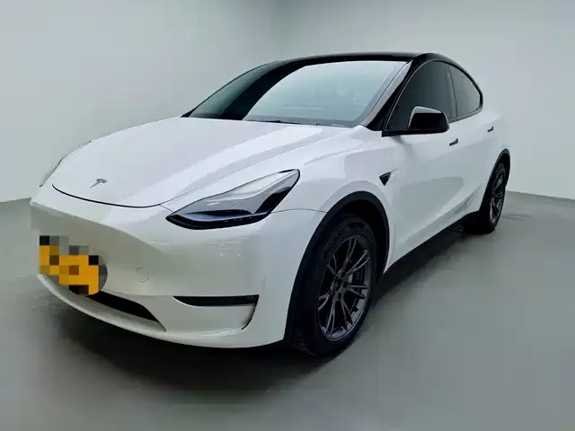 Tesla Model Y 2023 из CN, фото 1
