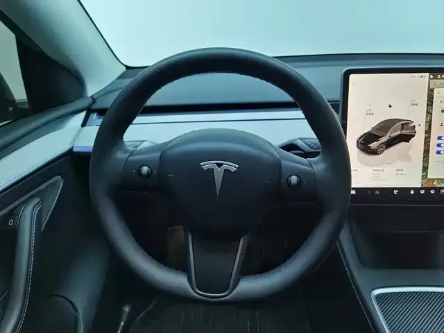 Tesla Model Y 2023 из CN, фото 6