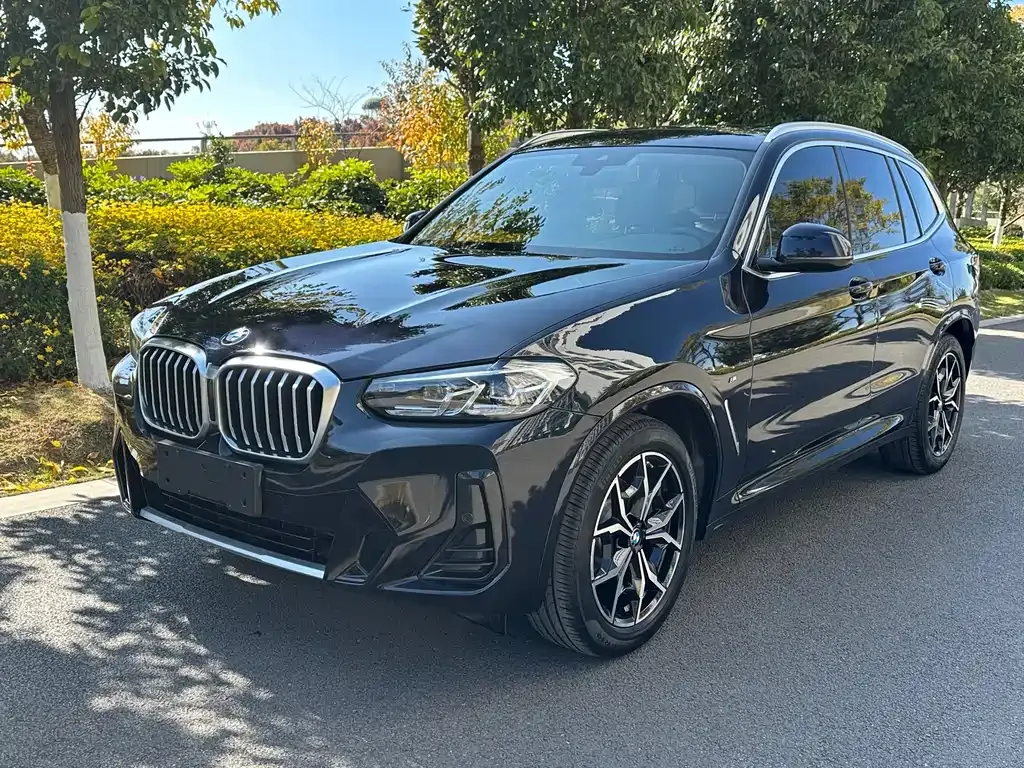 BMW X3 2022 из CN, фото 1