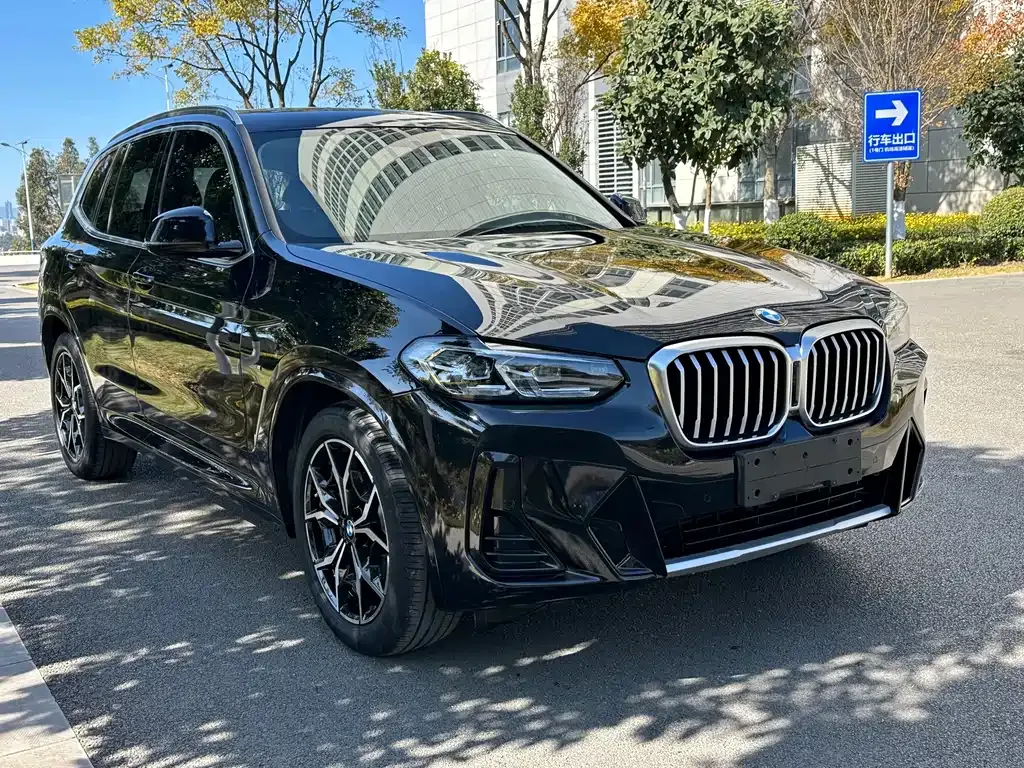 BMW X3 2022 из CN, фото 3