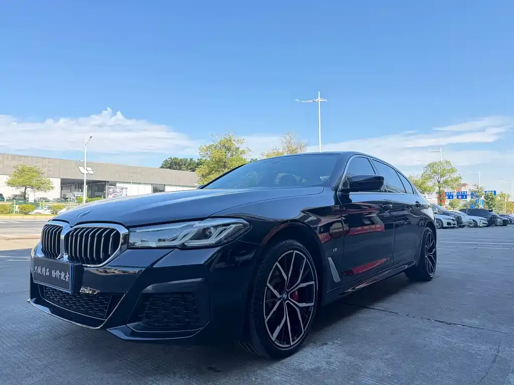 BMW 5 Series 2022 из CN, фото 1