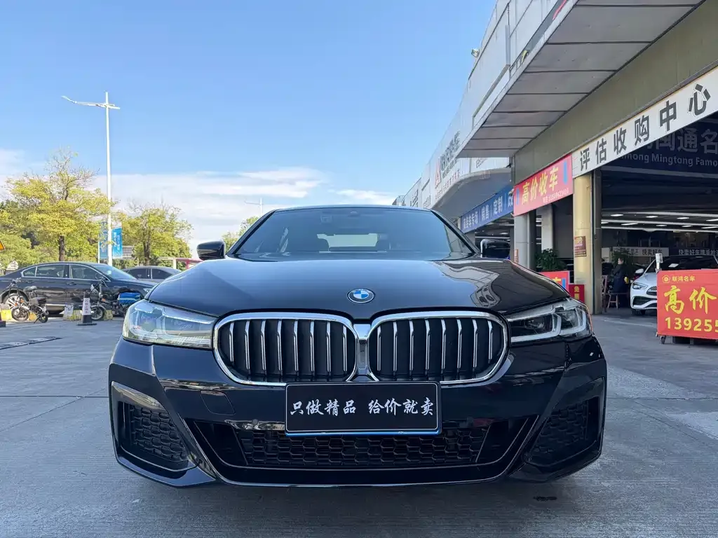 BMW 5 Series 2022 из CN, фото 3