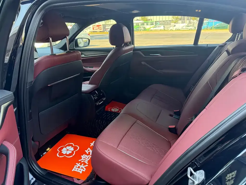 BMW 5 Series 2022 из CN, фото 5