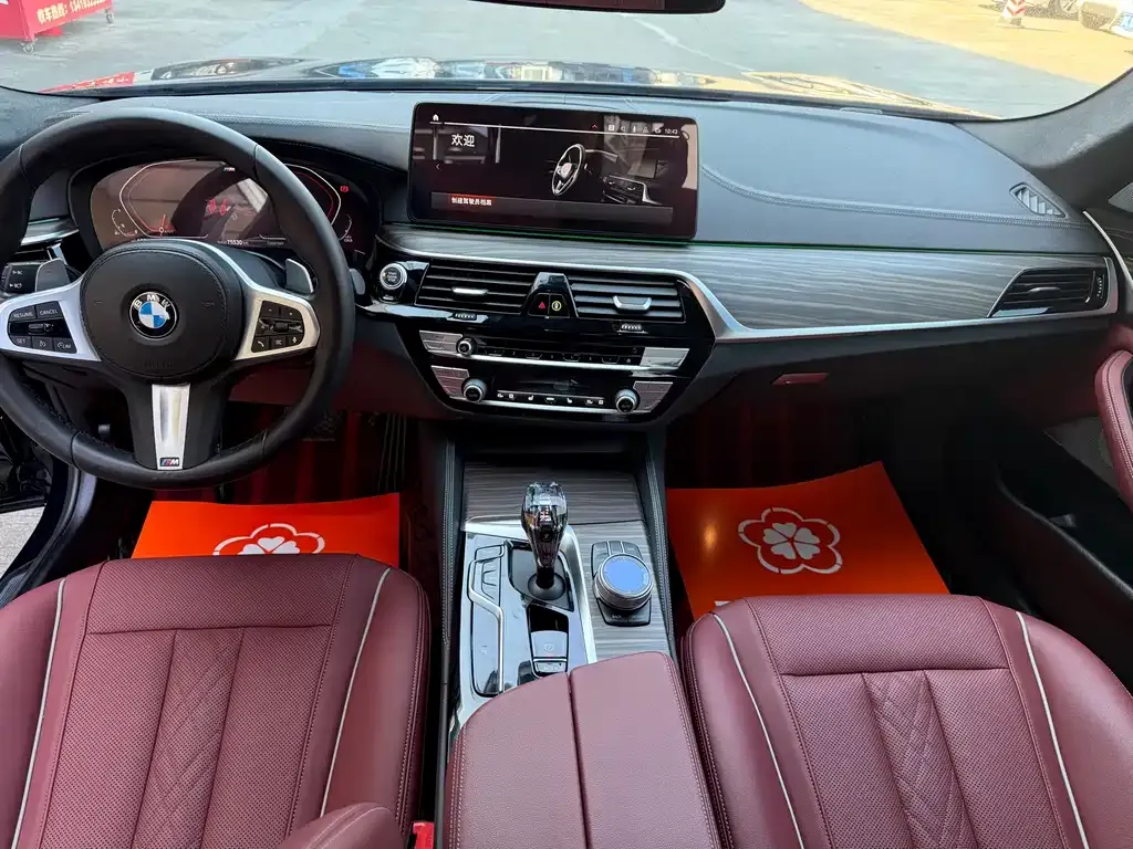 BMW 5 Series 2022 из CN, фото 6