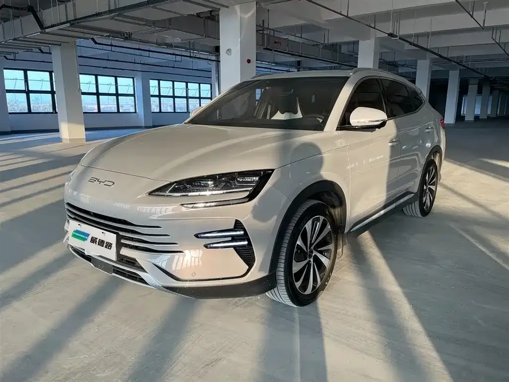 BYD PLUS New Energy — фото 1