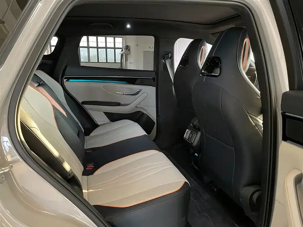 BYD PLUS New Energy — фото 10
