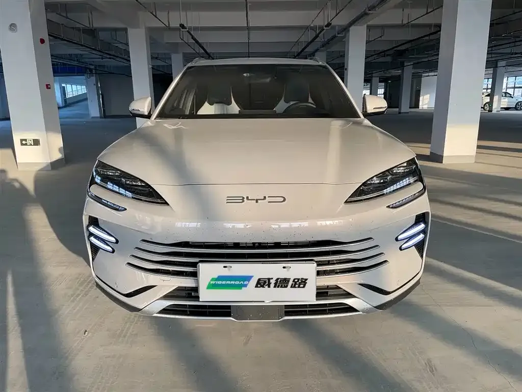 BYD PLUS New Energy — фото 2