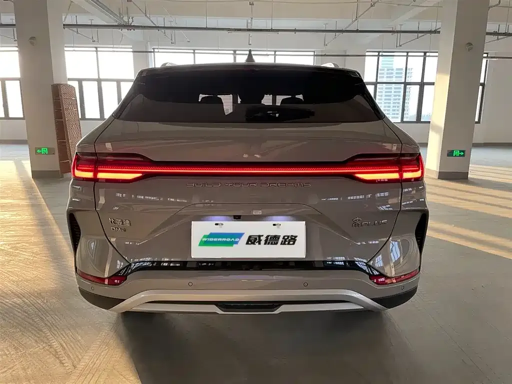 BYD PLUS New Energy — фото 5