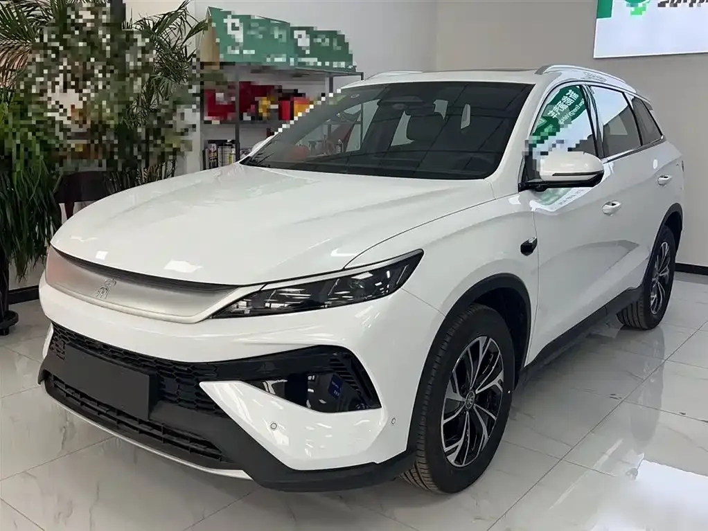 BYD Pro New Energy — фото 2