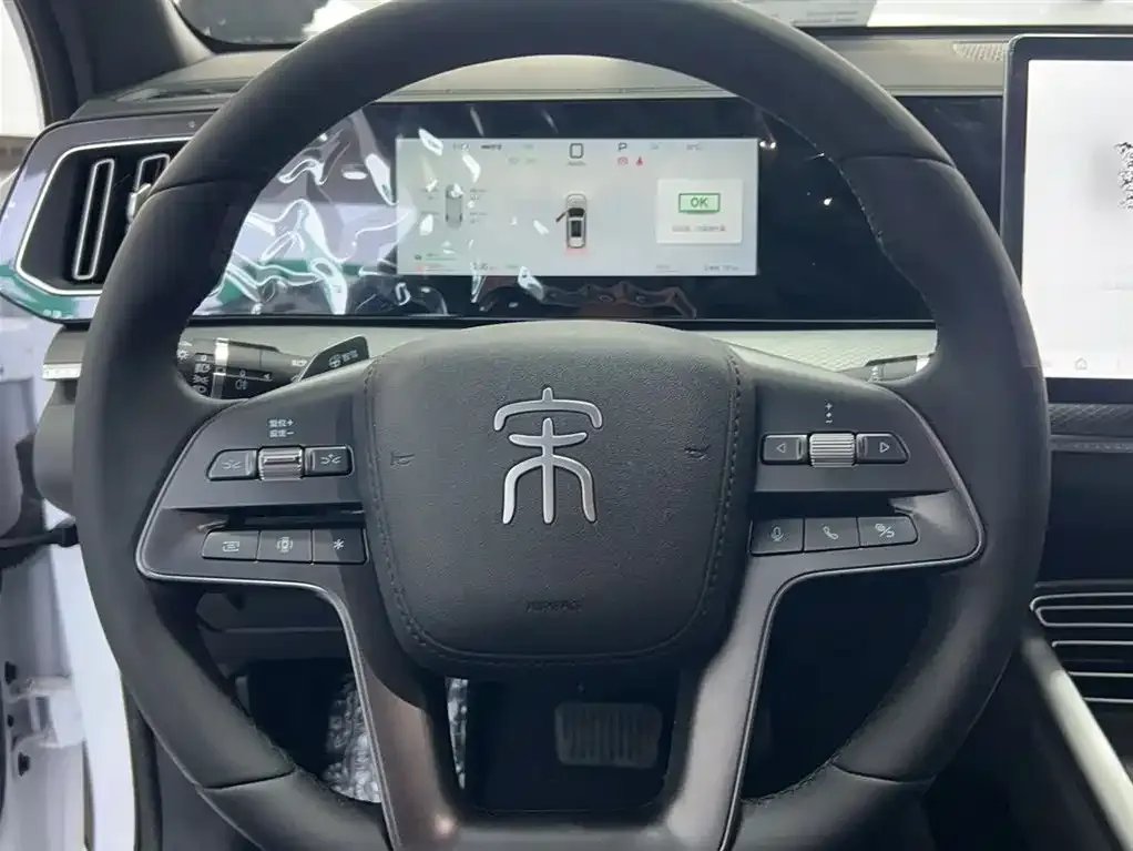 BYD Pro New Energy — фото 4