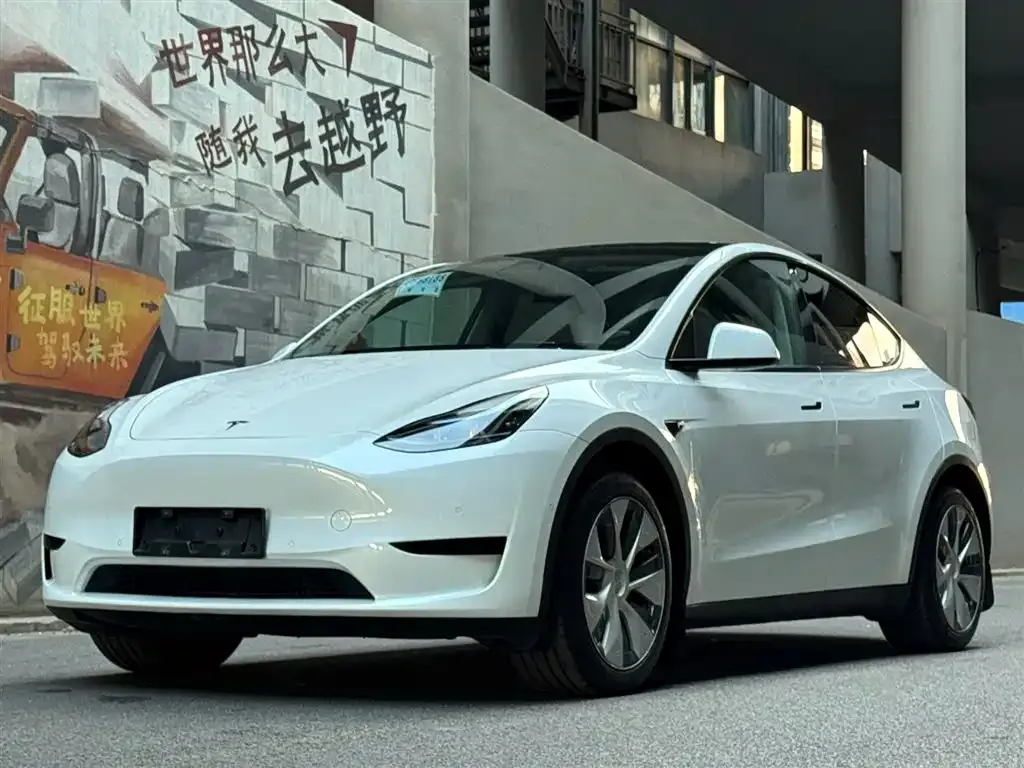 Tesla Model Y 2023 из CN, фото 1