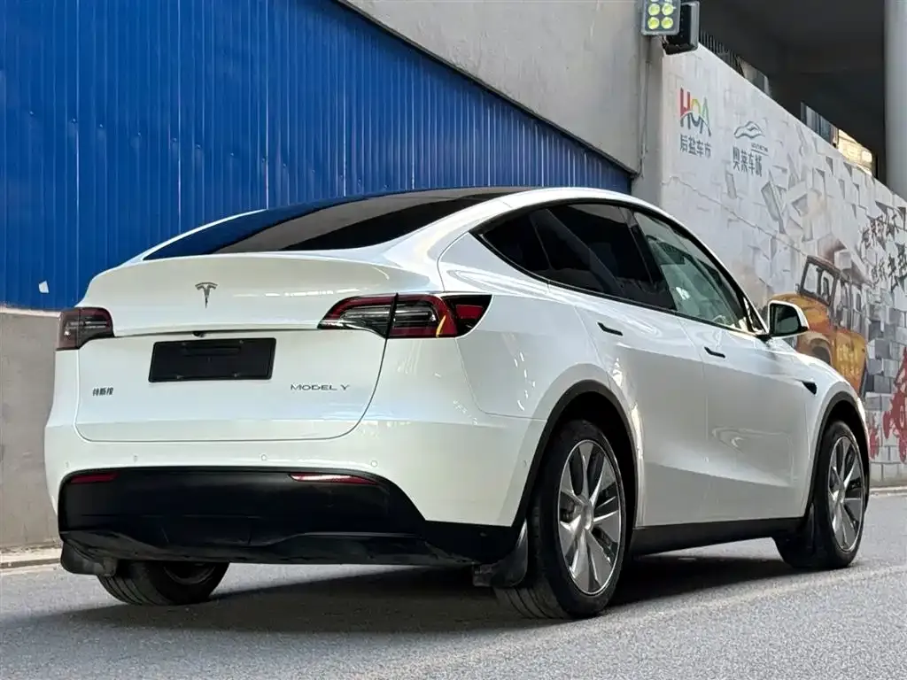 Tesla Model Y 2023 из CN, фото 5