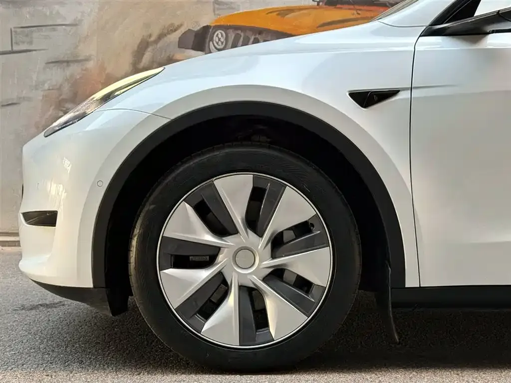 Tesla Model Y 2023 из CN, фото 6