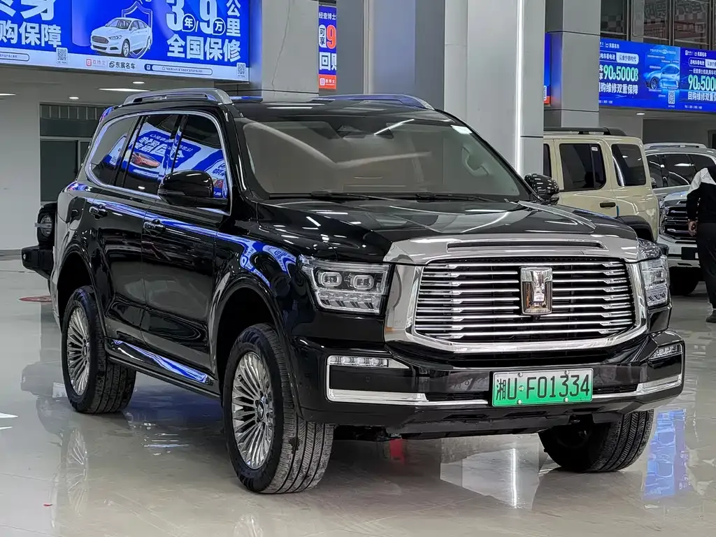 Tank 500 New Energy 2024 из CN, фото 3