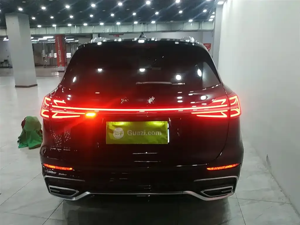 Hongqi HS5 2023 из CN, фото 6