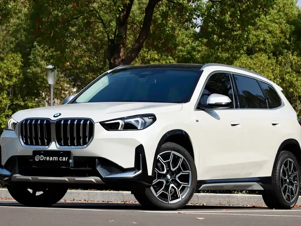 BMW X1 2023 из CN, фото 1