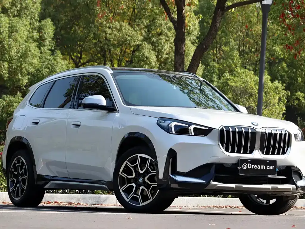 BMW X1 2023 из CN, фото 3