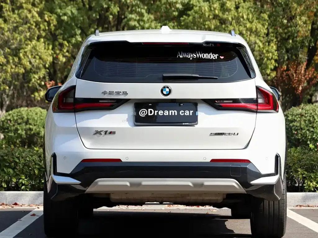 BMW X1 2023 из CN, фото 6