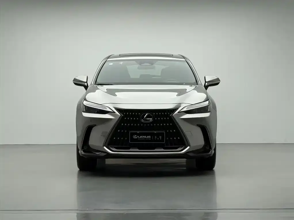 Lexus NX 2023 из CN, фото 2