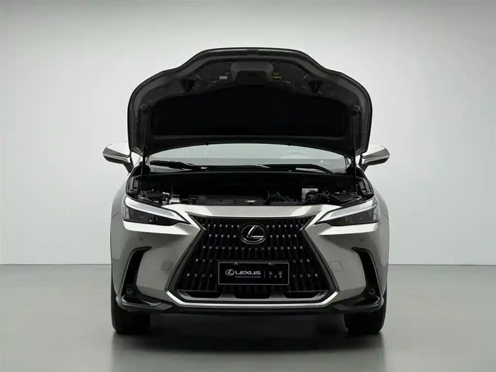 Lexus NX 2023 из CN, фото 3