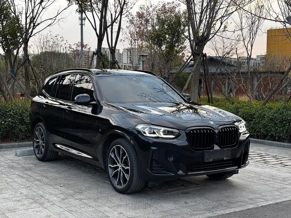 BMW X3 2023 из CN, фото 3