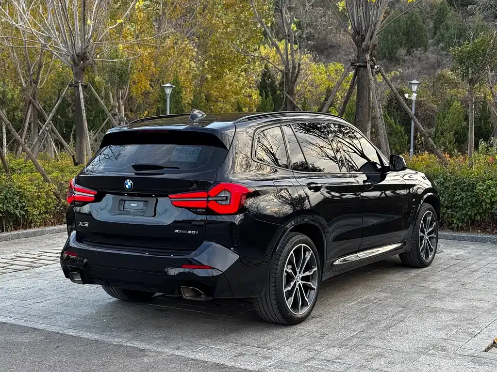 BMW X3 2023 из CN, фото 9
