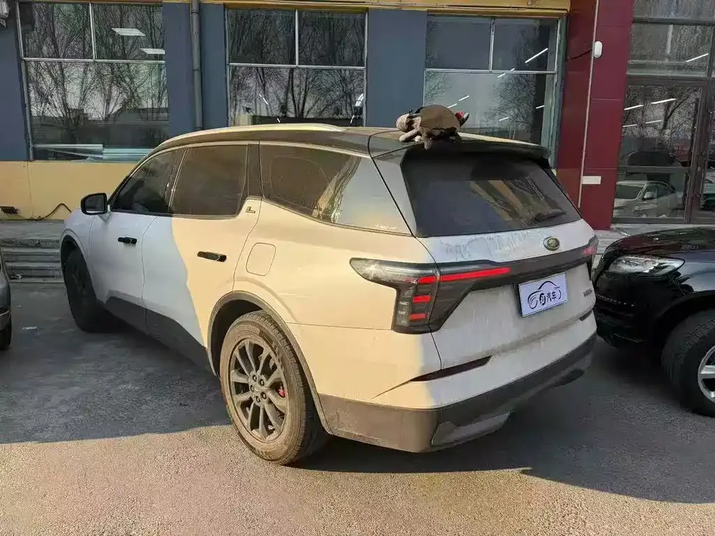 Ford Edge 2024 из CN, фото 5