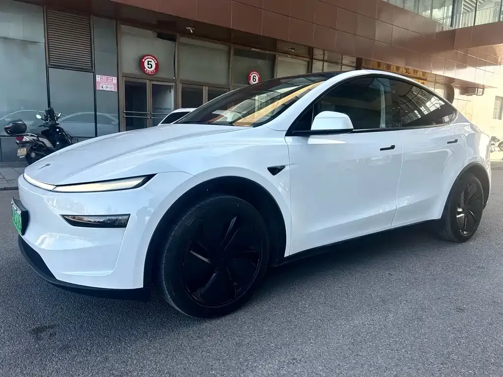 Tesla Model Y 2025 из CN, фото 2