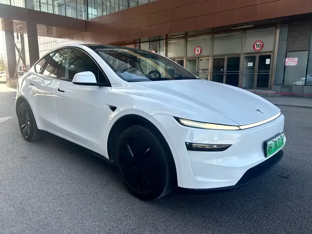 Tesla Model Y 2025 из CN, фото 3