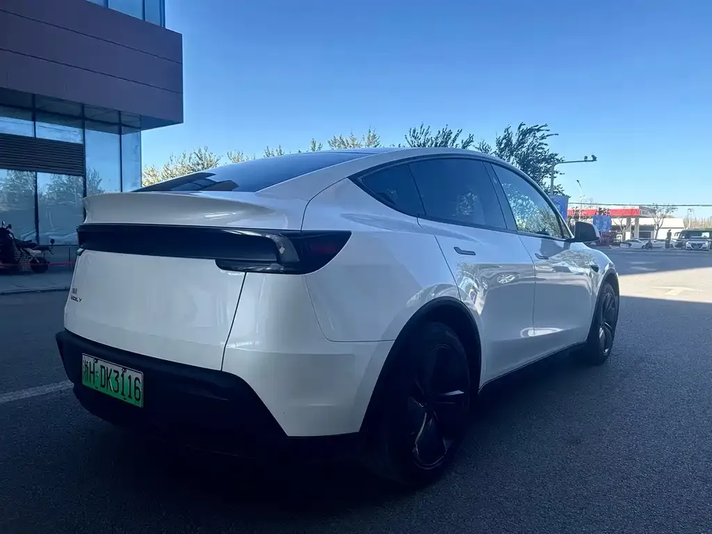 Tesla Model Y 2025 из CN, фото 4