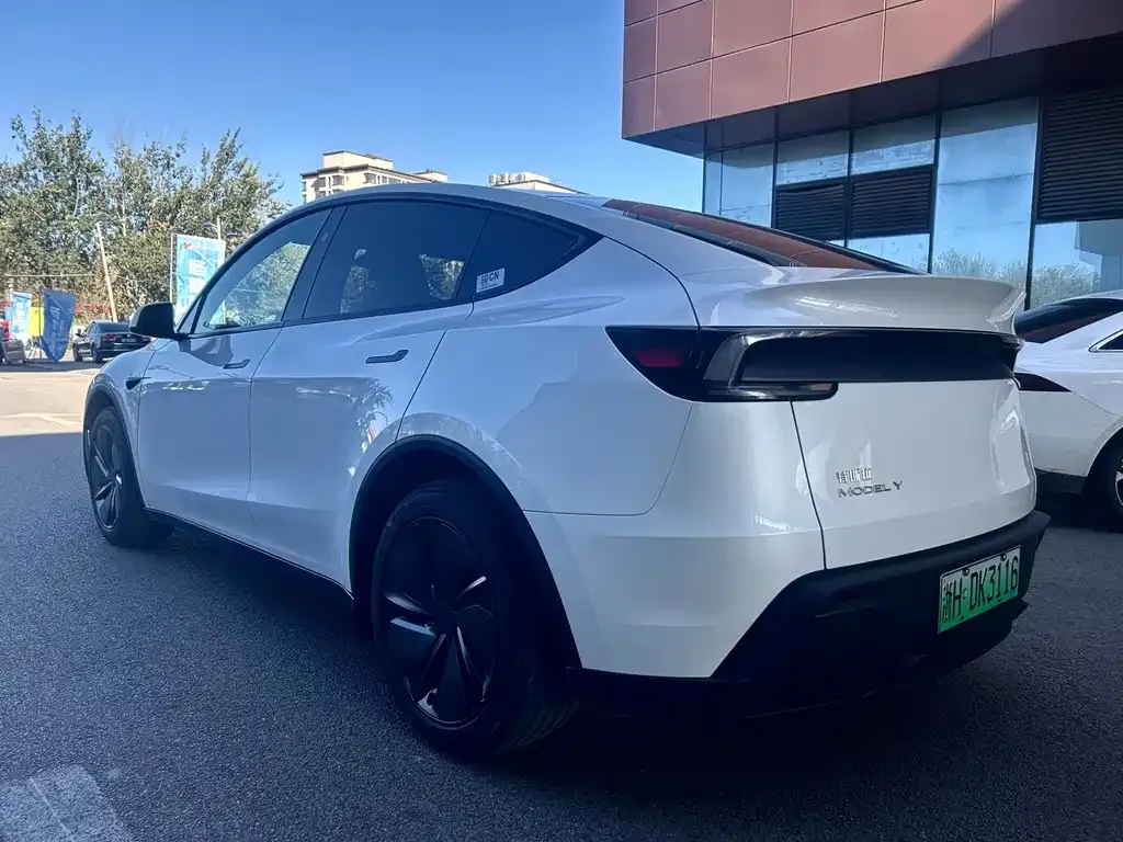 Tesla Model Y 2025 из CN, фото 5