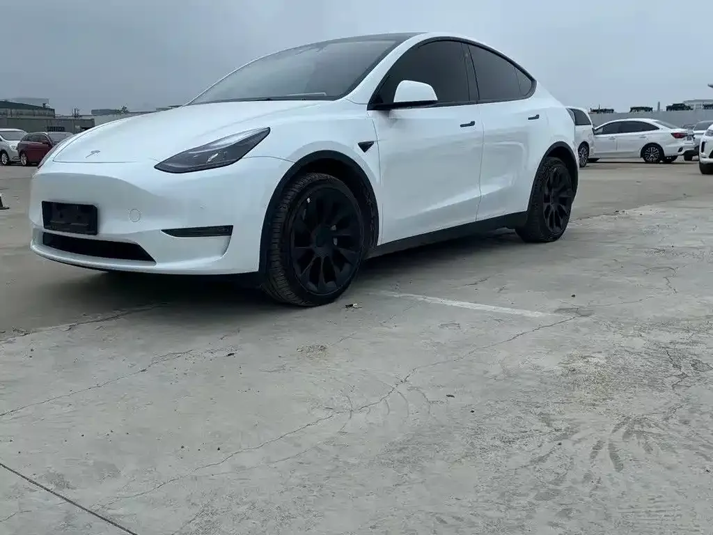 Tesla Model Y — фото 2