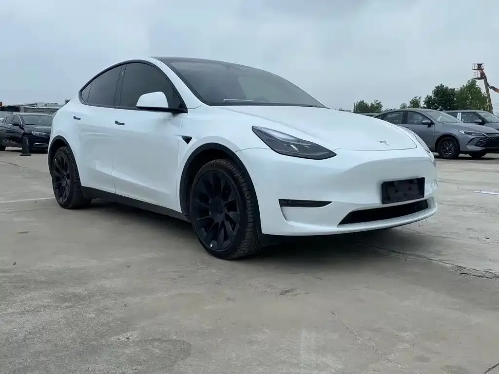Tesla Model Y — фото 3