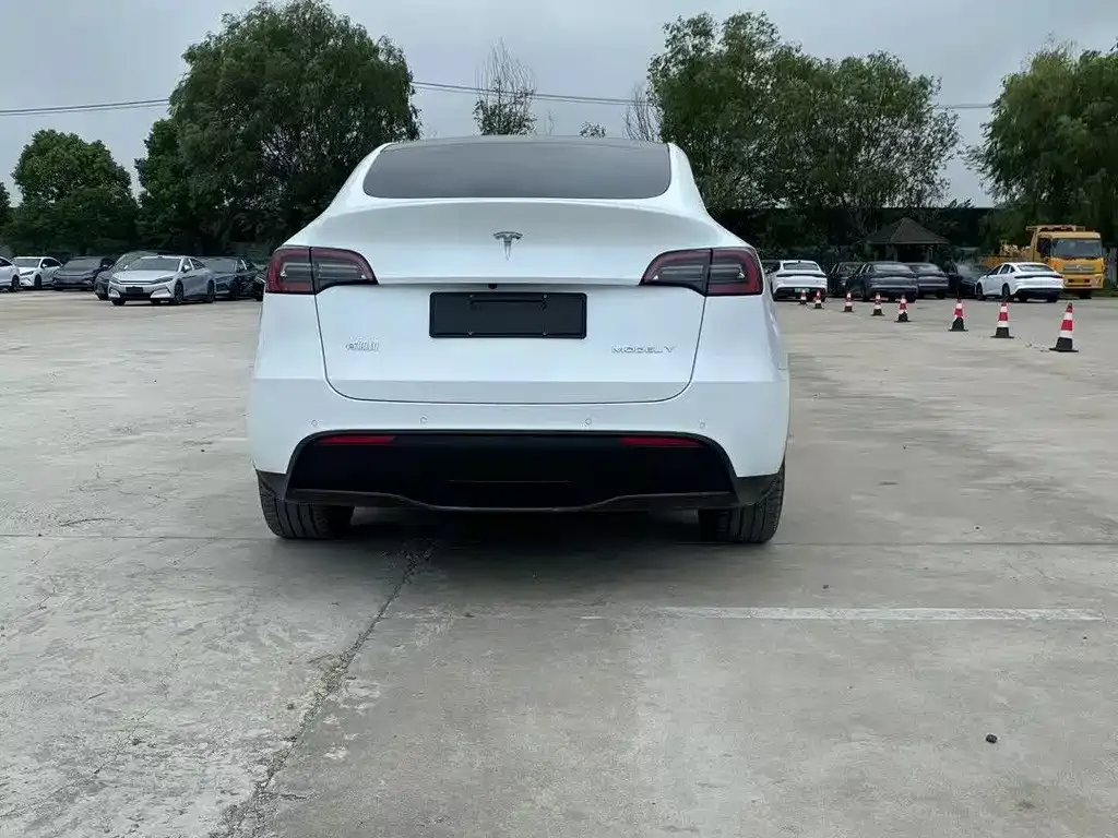 Tesla Model Y — фото 8