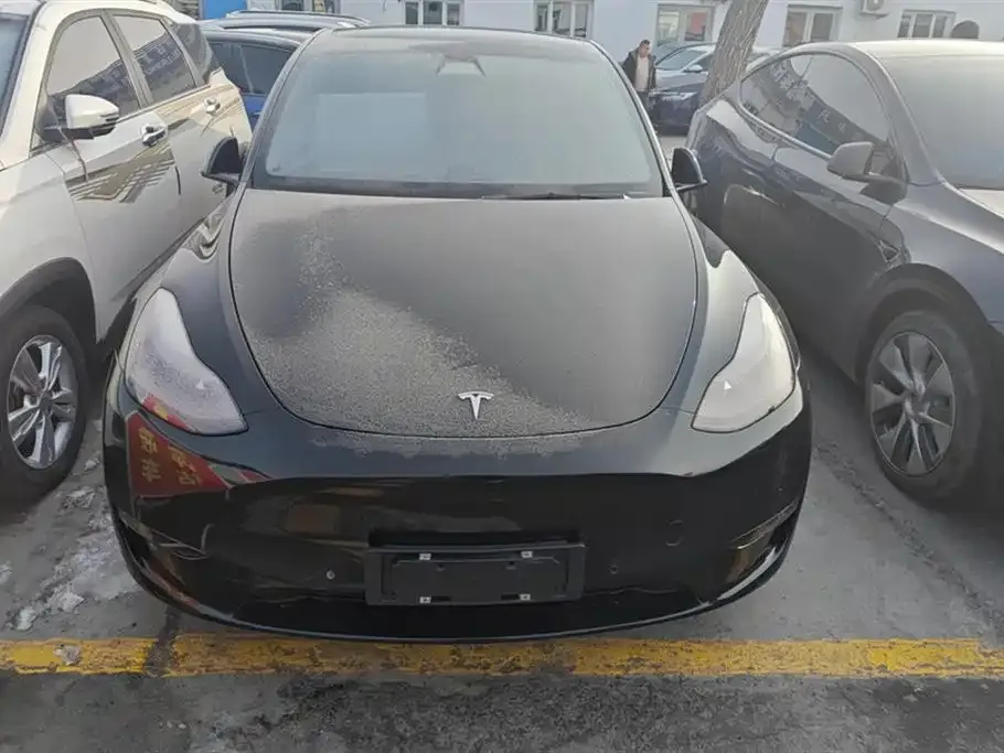 Tesla Model Y — фото 2